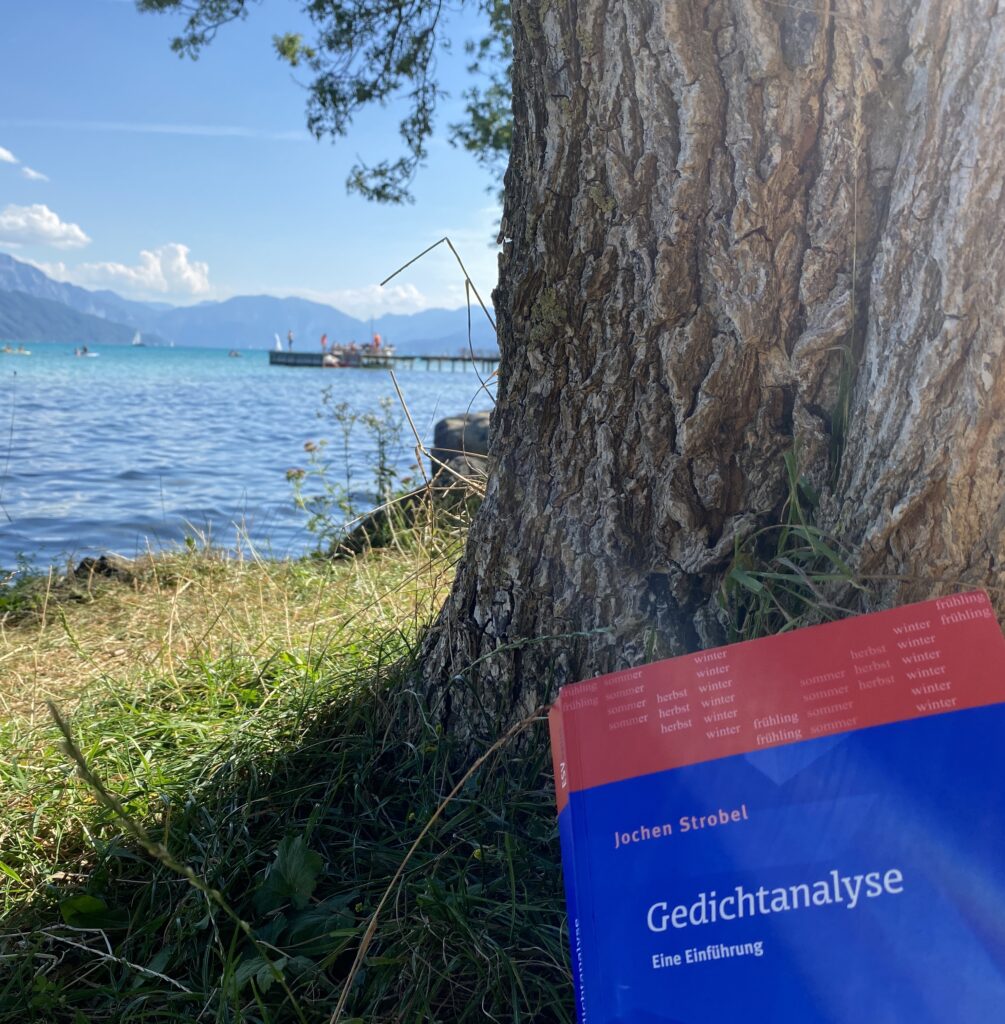 Jochen Strobels Buch "Gedichtanalyse. Eine Einführung" am Ufer des Wolfgangsees auf einem Foto von Kirstin Breitenfellner