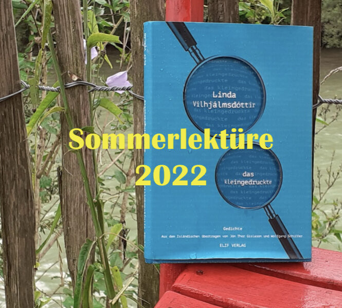 Buch von Linda Vilhjálmsdóttir in der Natur mit Titel