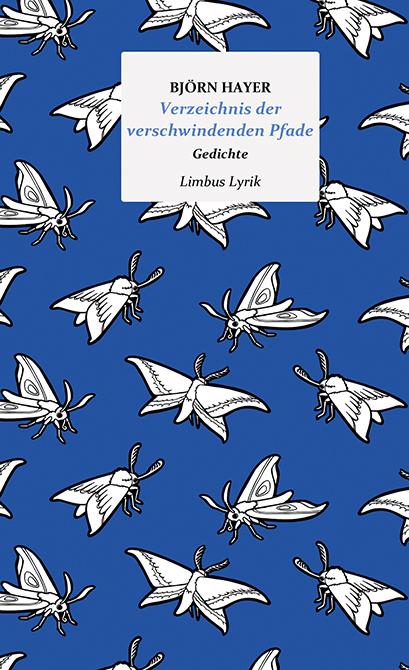 Buchcover Björn Hayer Verzeichnis der verschwindenden Pfade