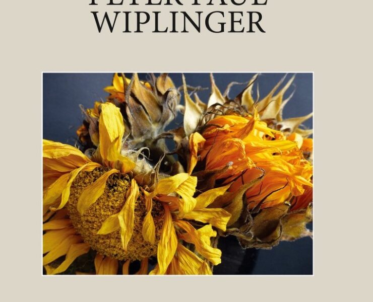 cover wiplinger blian und vablian