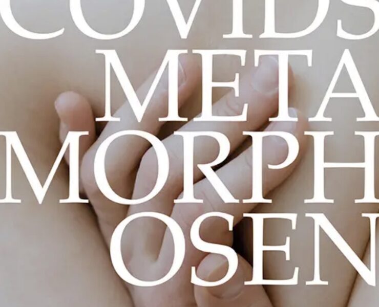 Cover Schwinghammer Covids Metamorphosen