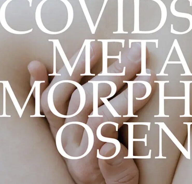 Cover Schwinghammer Covids Metamorphosen
