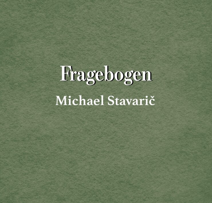 Fragebogen Michael Stavarič